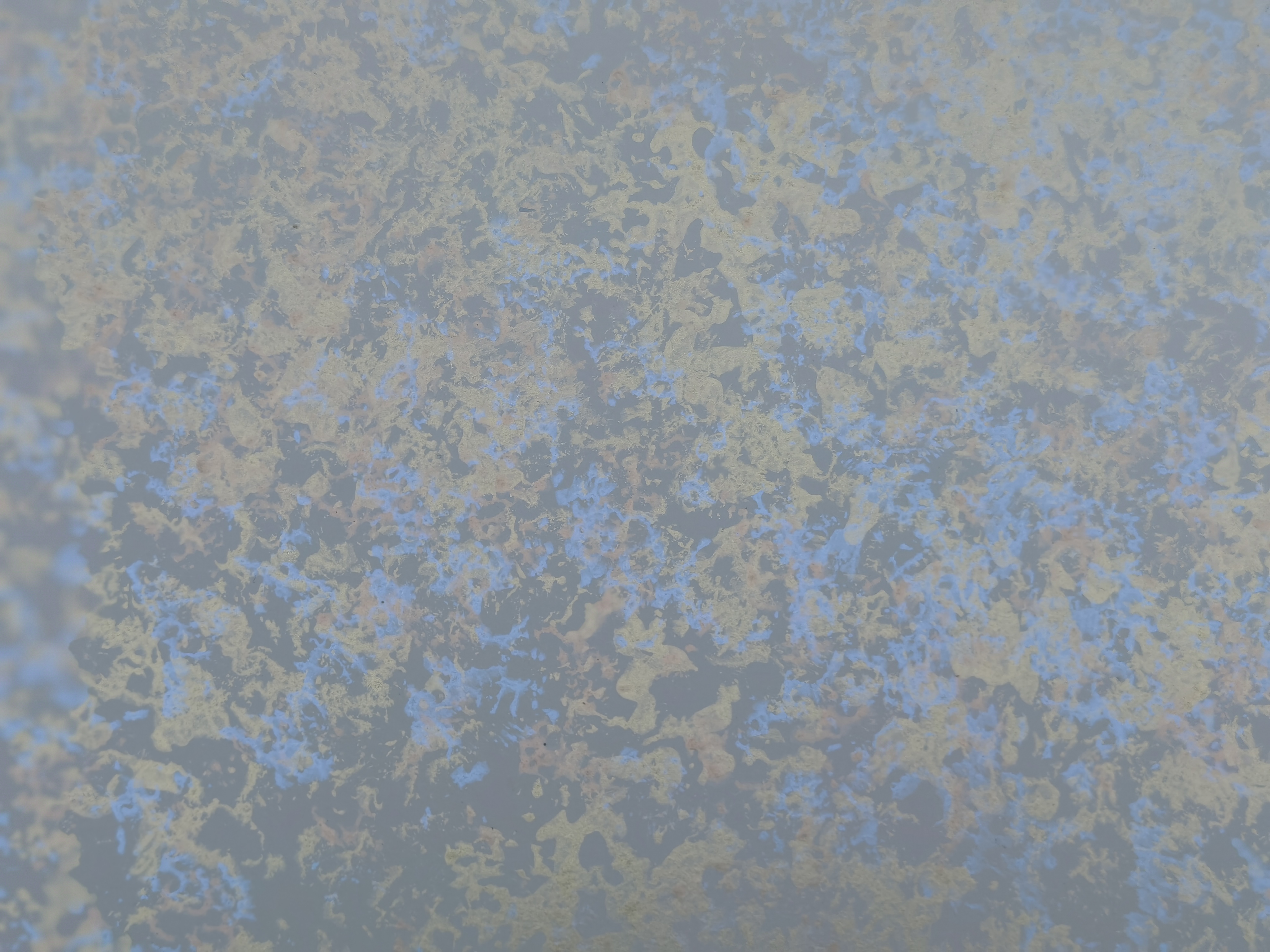 e0a98246e4884e25127989edf64de902.jpg